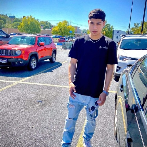 Alexis
